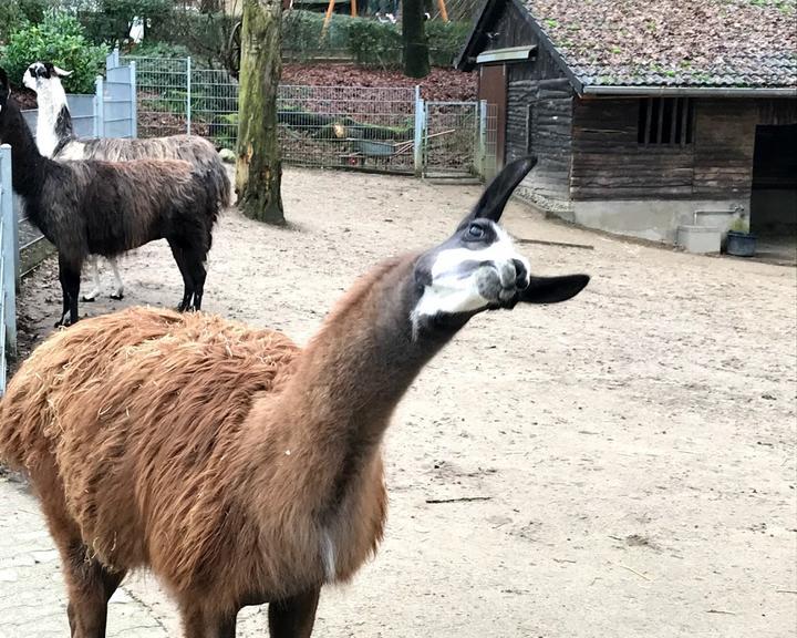 Tierpark Fauna